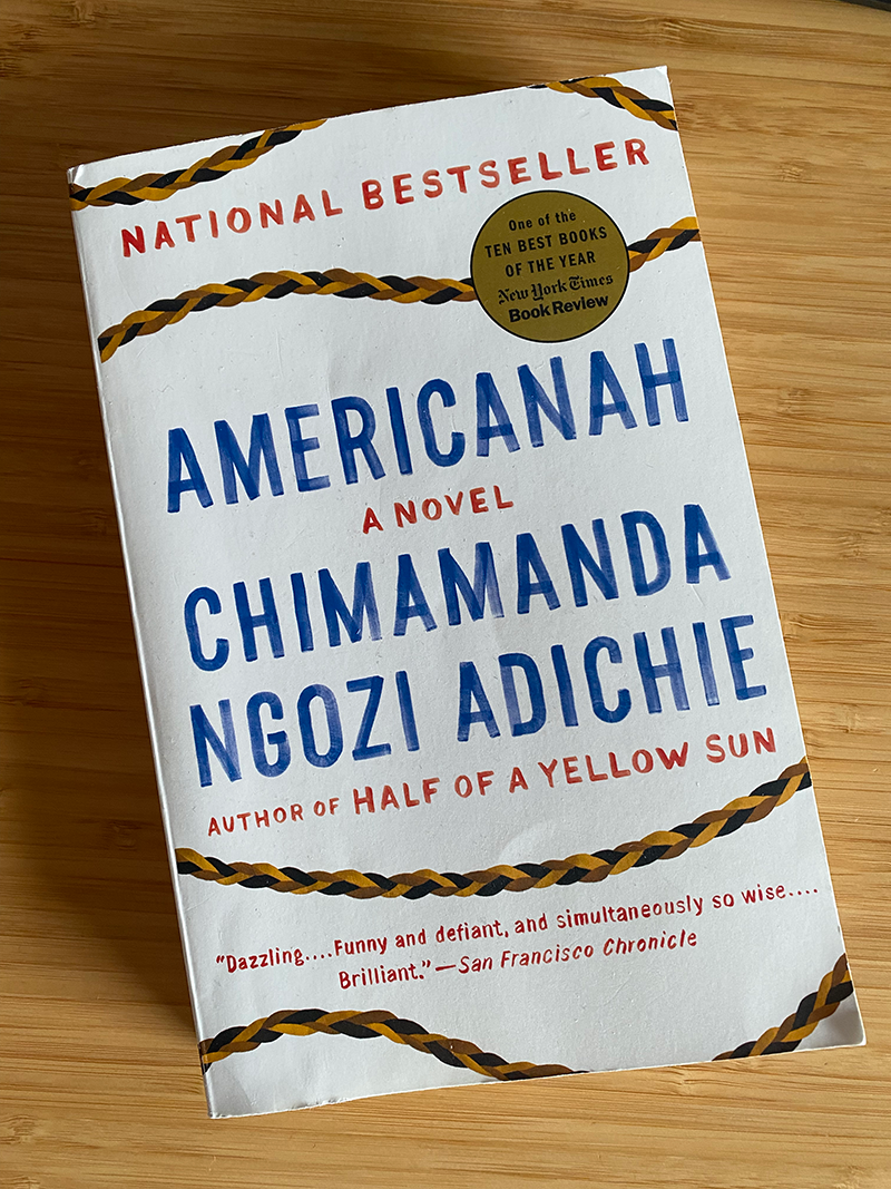 Administración Incienso excusa Book Review – Americanah - SunShower Learning